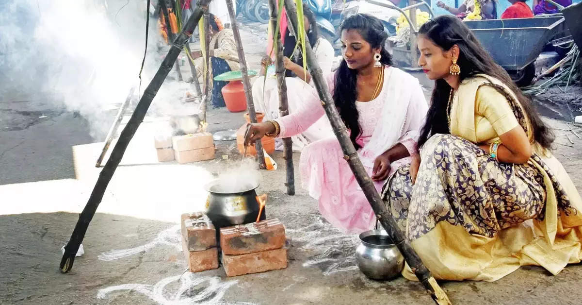 Pongal being celebrated with traditional fervour in different parts of the country