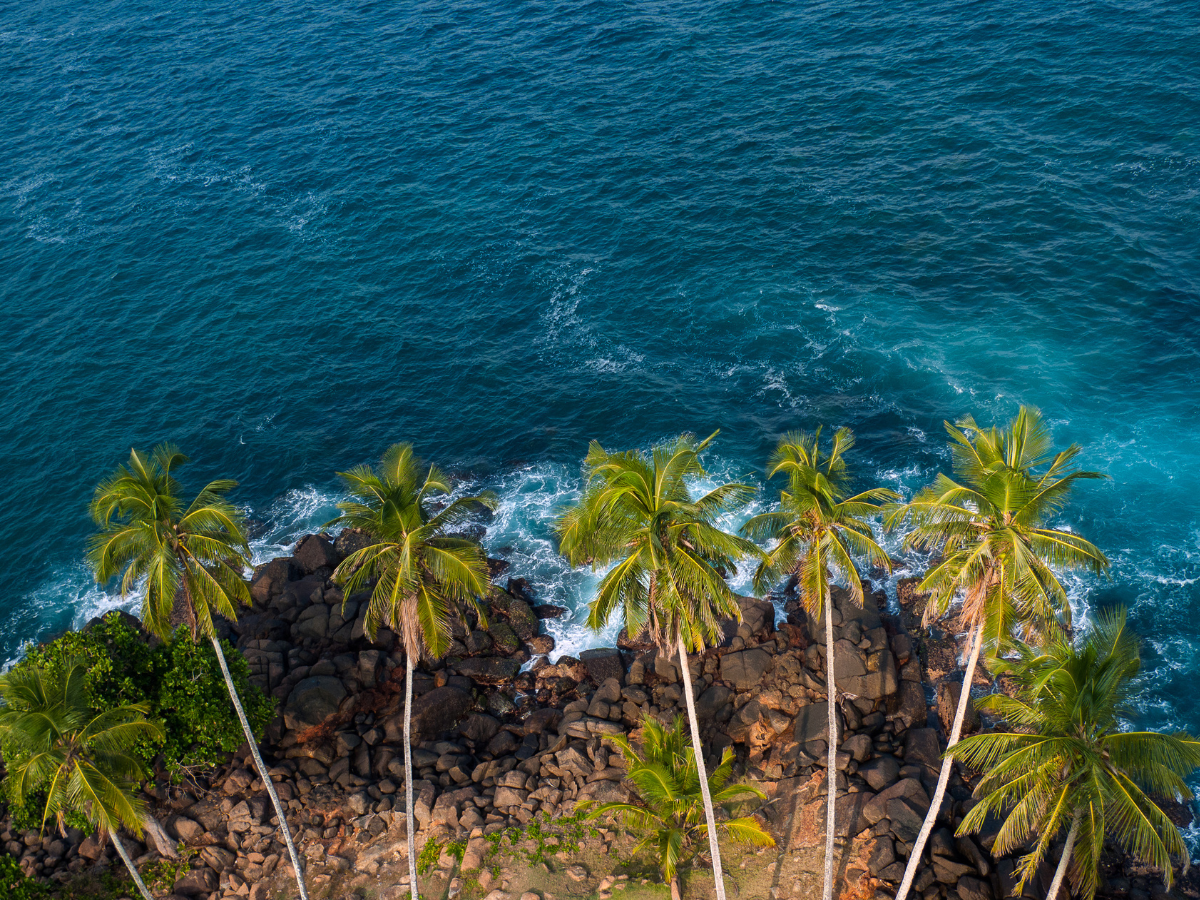 Sri Lanka travel advisory: Indian should carry vaccination cards, or PCR reports Sri Lanka travel advisory: Indian should carry vaccination cards, or PCR reports