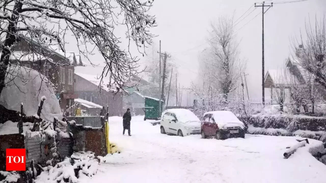 &lsquo;Chillong&rsquo;, &lsquo;Coldkata&rsquo;, &lsquo;Kaanp-pur&rsquo;: It is so cold that a Twitter user gave Indian cities 'chilly' names