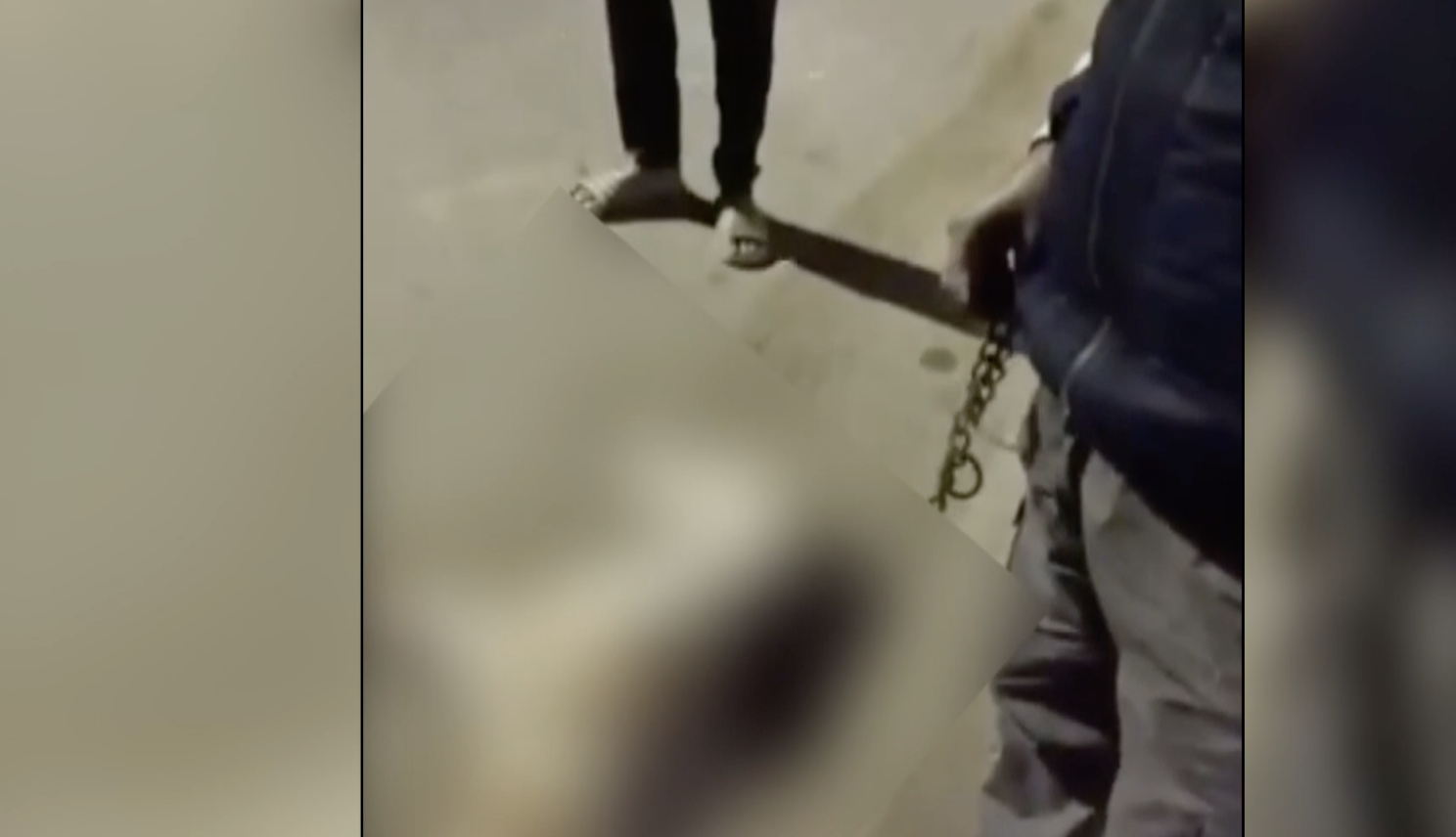 Bihar: Man booked for dragging a dog tied to his bike in Gaya