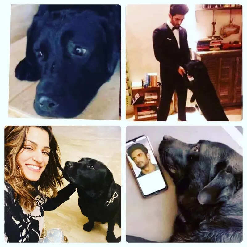 Sushant Singh Rajput&rsquo;s Birth Anniversary: These trending pictures of late actor will surely leave you teary-eyed