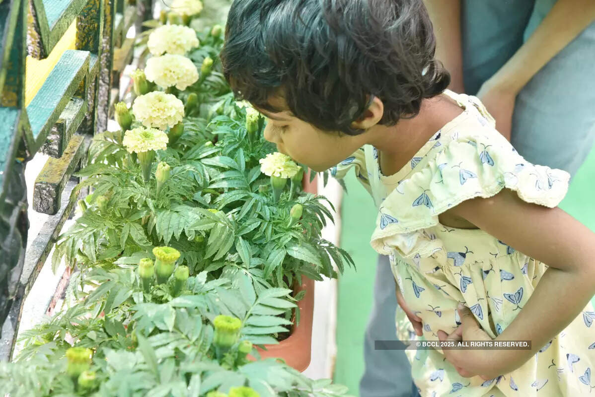 Republic Day Flower Show:Bengaluru's rich history blooms at Lalbagh