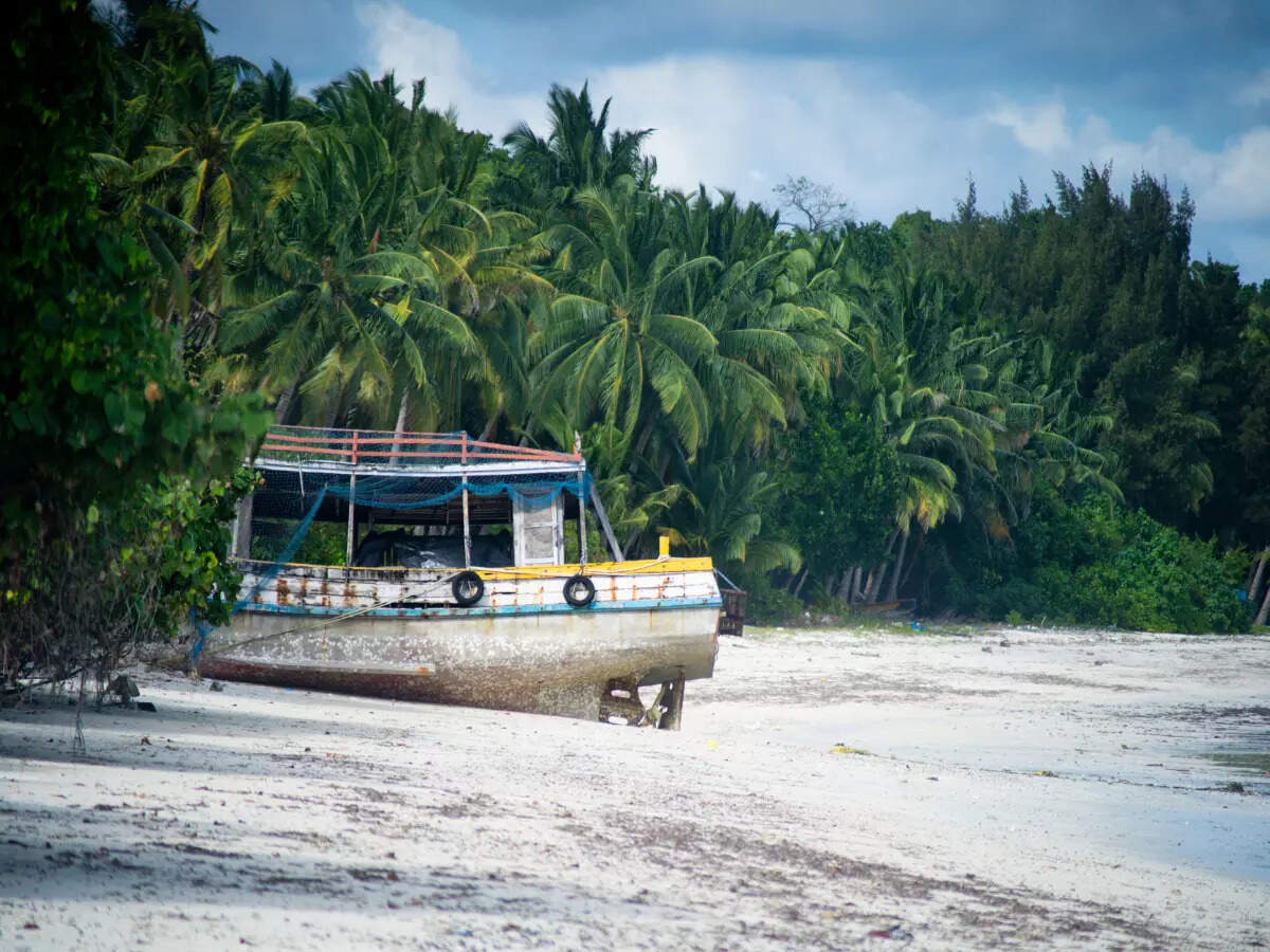 Lesser-known world of the Nicobar Islands | Times of India Travel