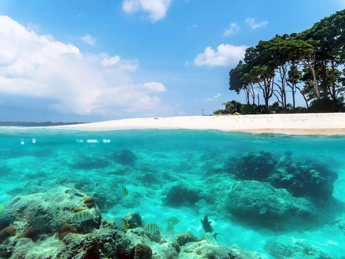 Lesser-known world of the Nicobar Islands Lesser-known world of the Nicobar Islands