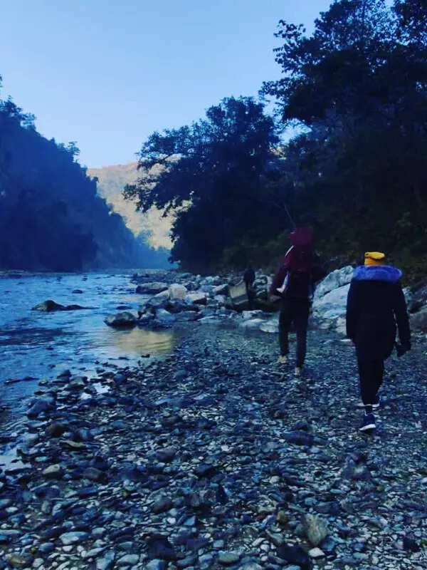 Virat Kohli and Anushka Sharma&rsquo;s pictures