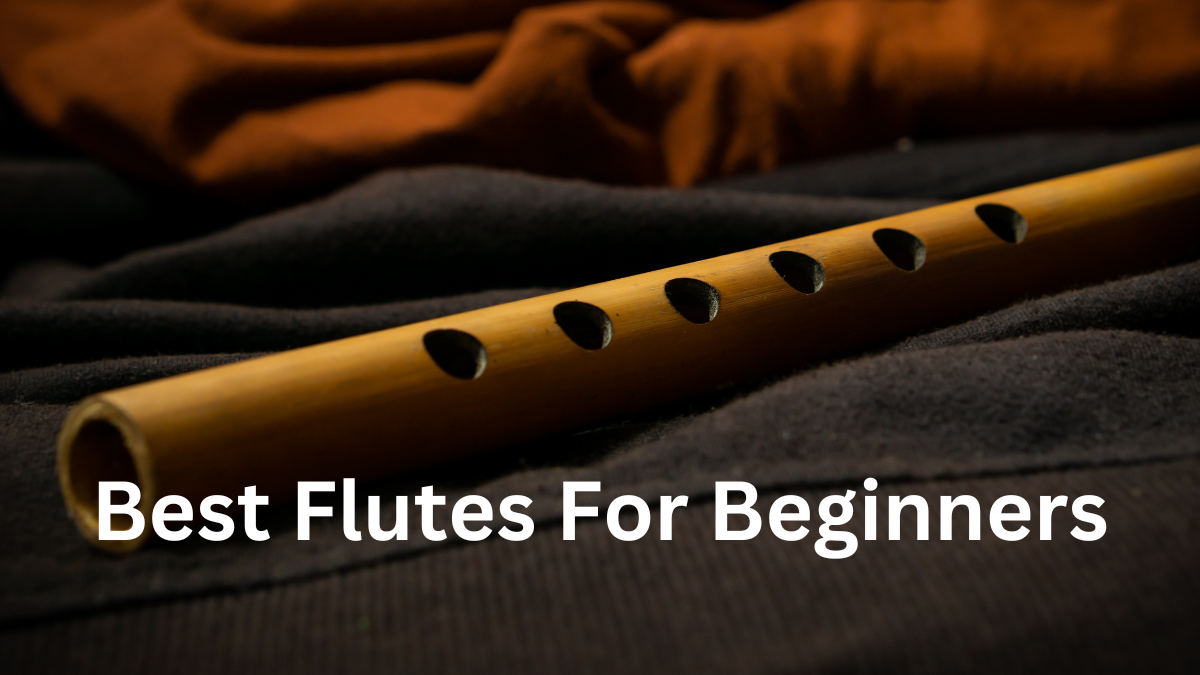 Best Flutes For Beginners Top Picks Most Searched Products Times Of India