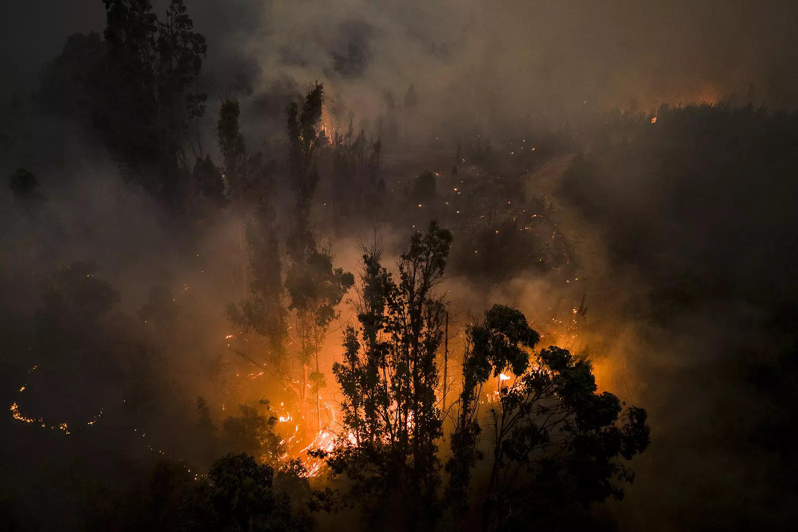 At least 25 killed as wildfires engulf Chile