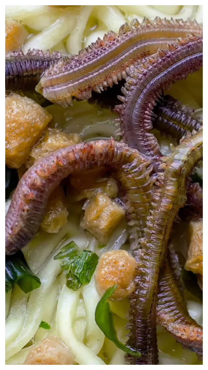 Disgusting Things Disgusting Things To Eat