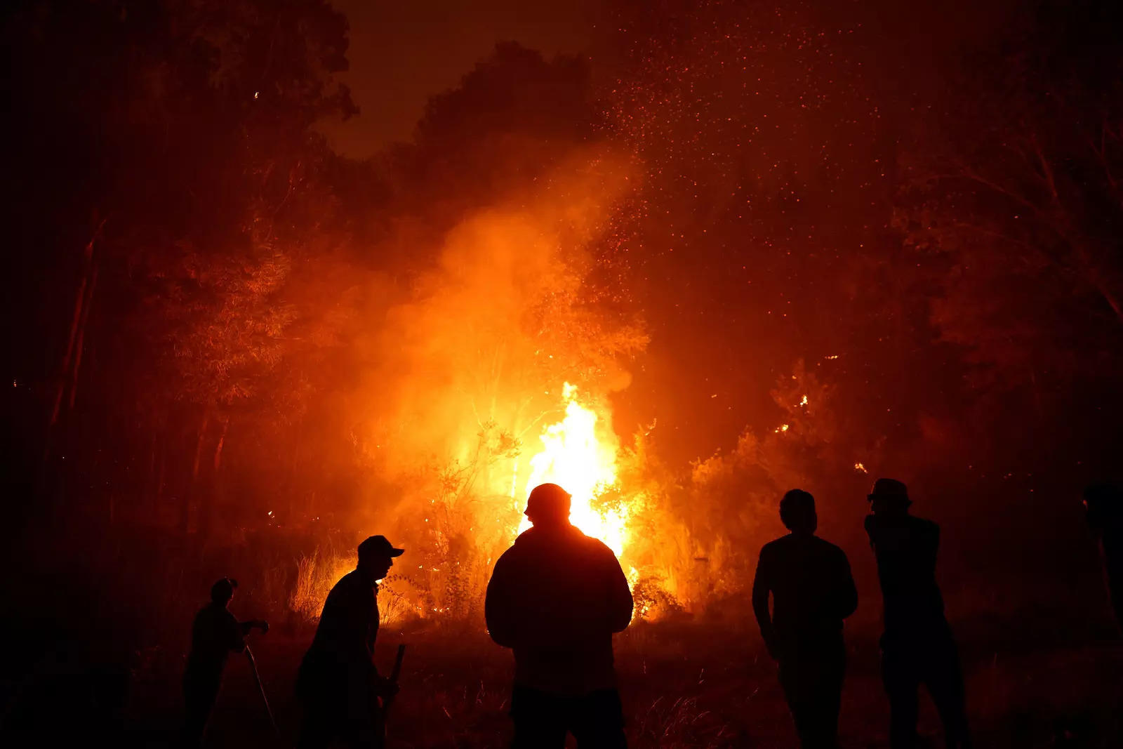 Harrowing pictures from Chile as wildfires engulf huge swathes of land