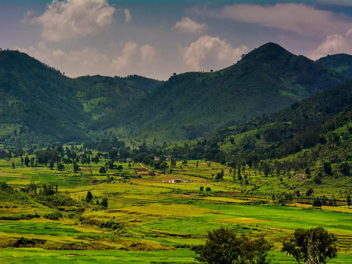 Araku Valley, a hidden gem in Andhra Pradesh | Times of India Travel