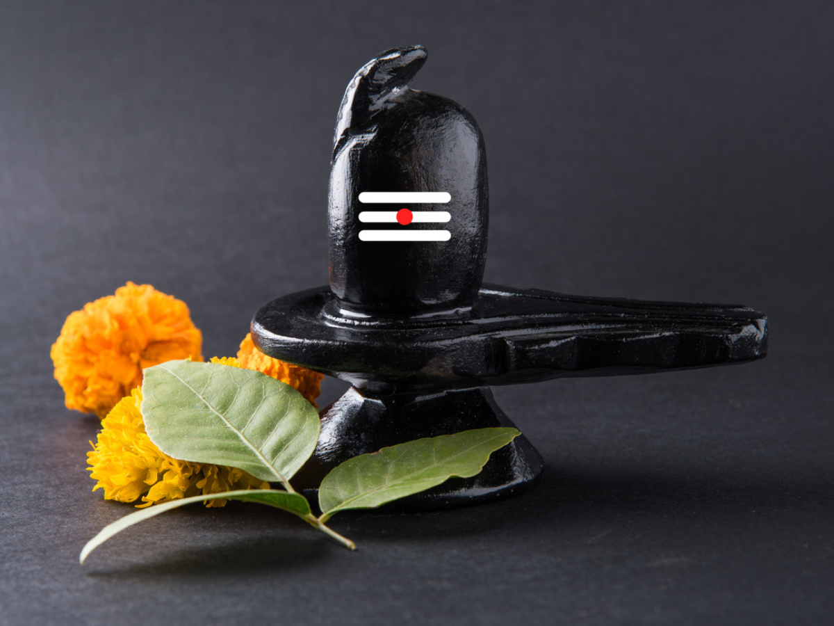 Maha Shivratri 2023:5 vrat-friendly recipes | The Times of India