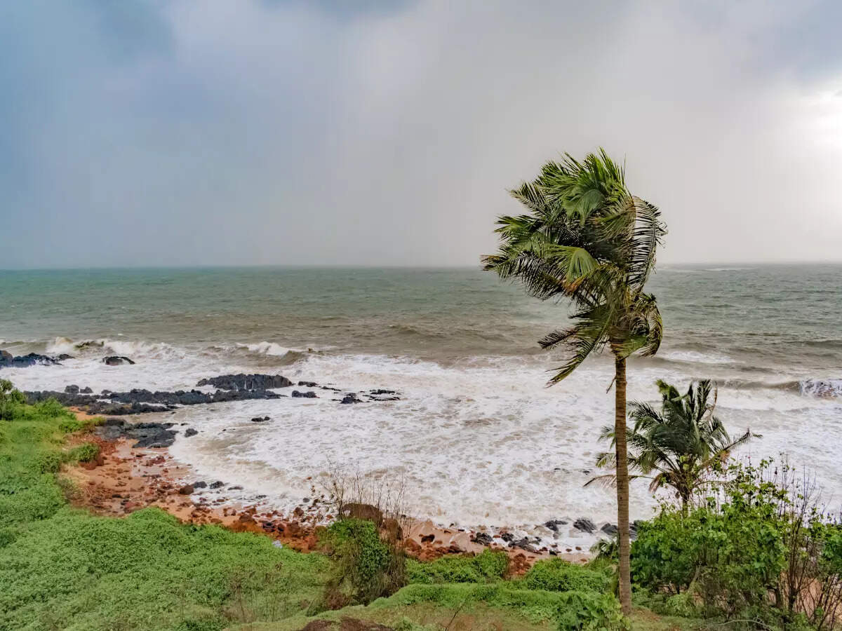 Cyclone Freddy makes landfall in Madagascar; Mauritius airport resumes operations Cyclone Freddy makes landfall in Madagascar; Mauritius airport resumes operations