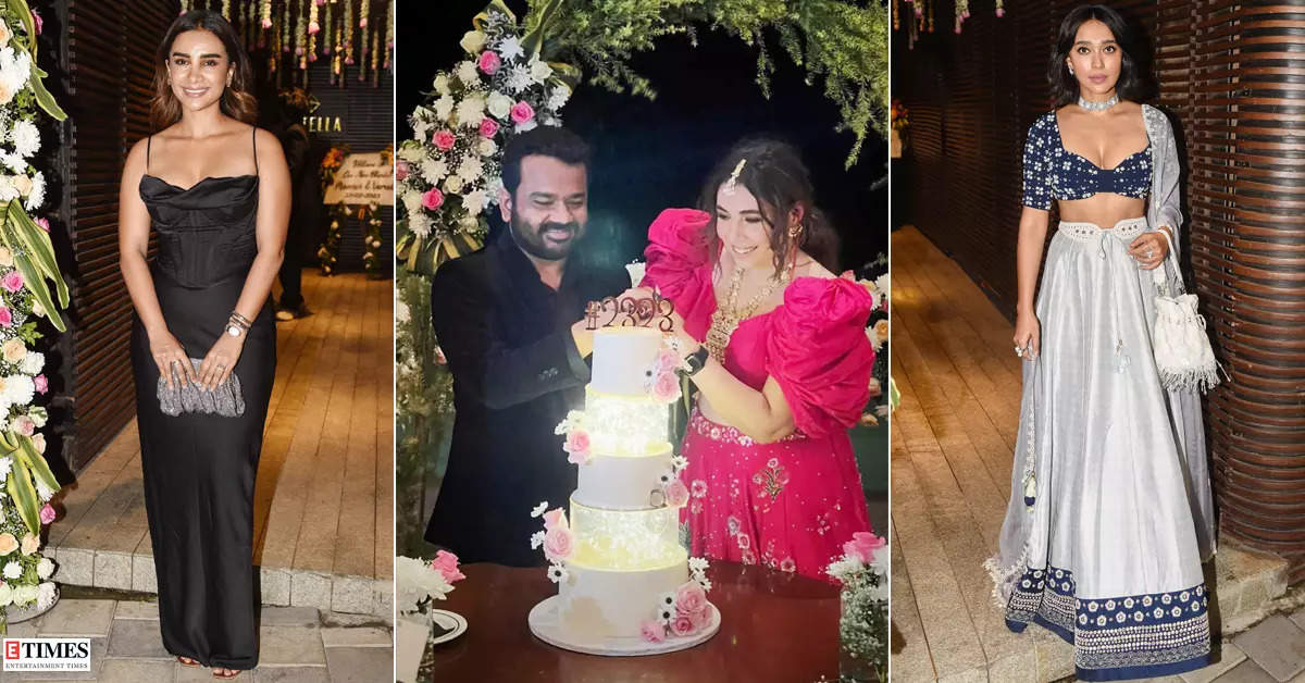 Inside pictures from ‘Four More Shots Please!’ actress Maanvi Gagroo and Kumar Varun’s wedding party