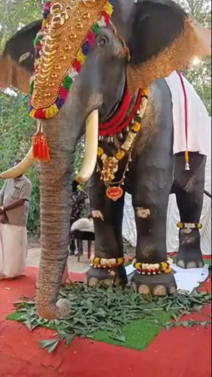 Robotic Elephant offered to Irinjadapilli Sree Krishna Temple in ...