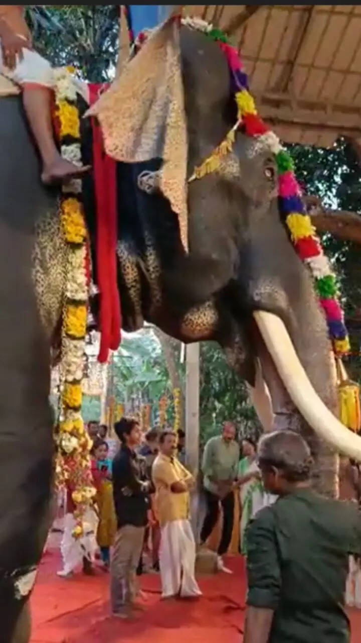Robotic Elephant offered to Irinjadapilli Sree Krishna Temple in ...