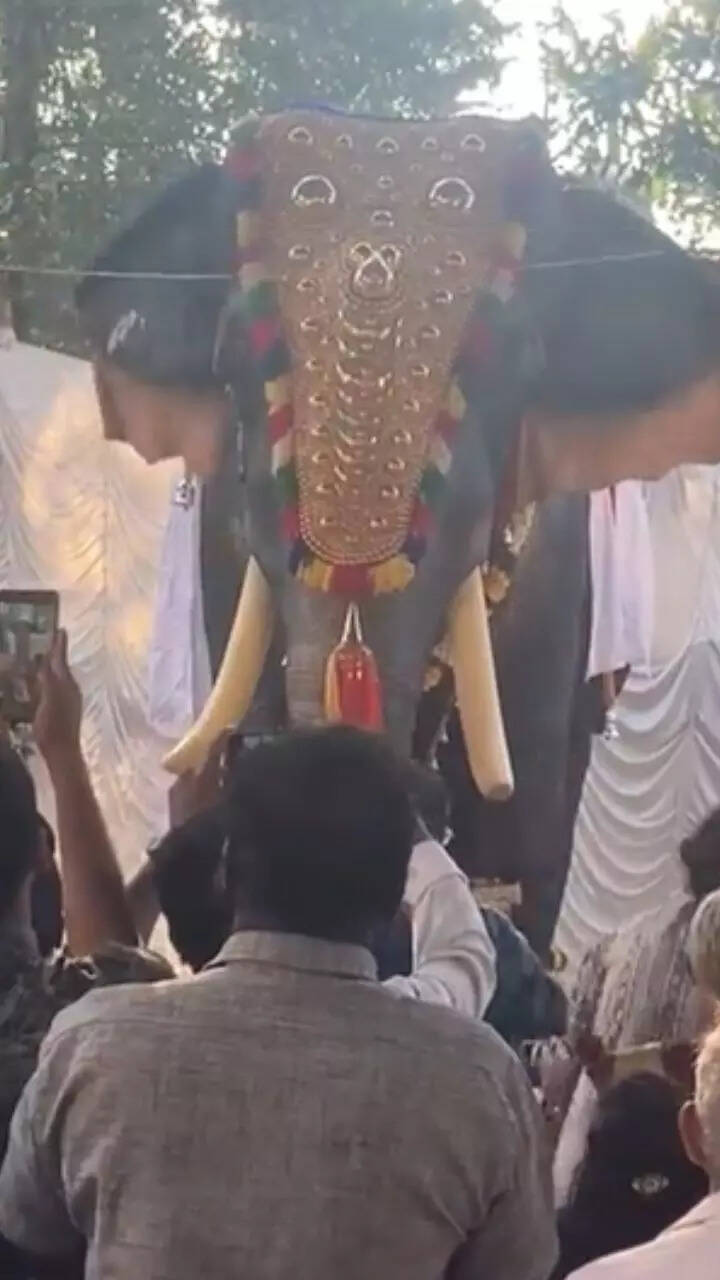 Robotic Elephant offered to Irinjadapilli Sree Krishna Temple in ...