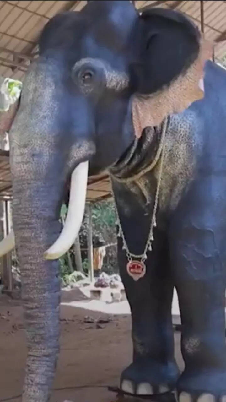Robotic Elephant offered to Irinjadapilli Sree Krishna Temple in ...