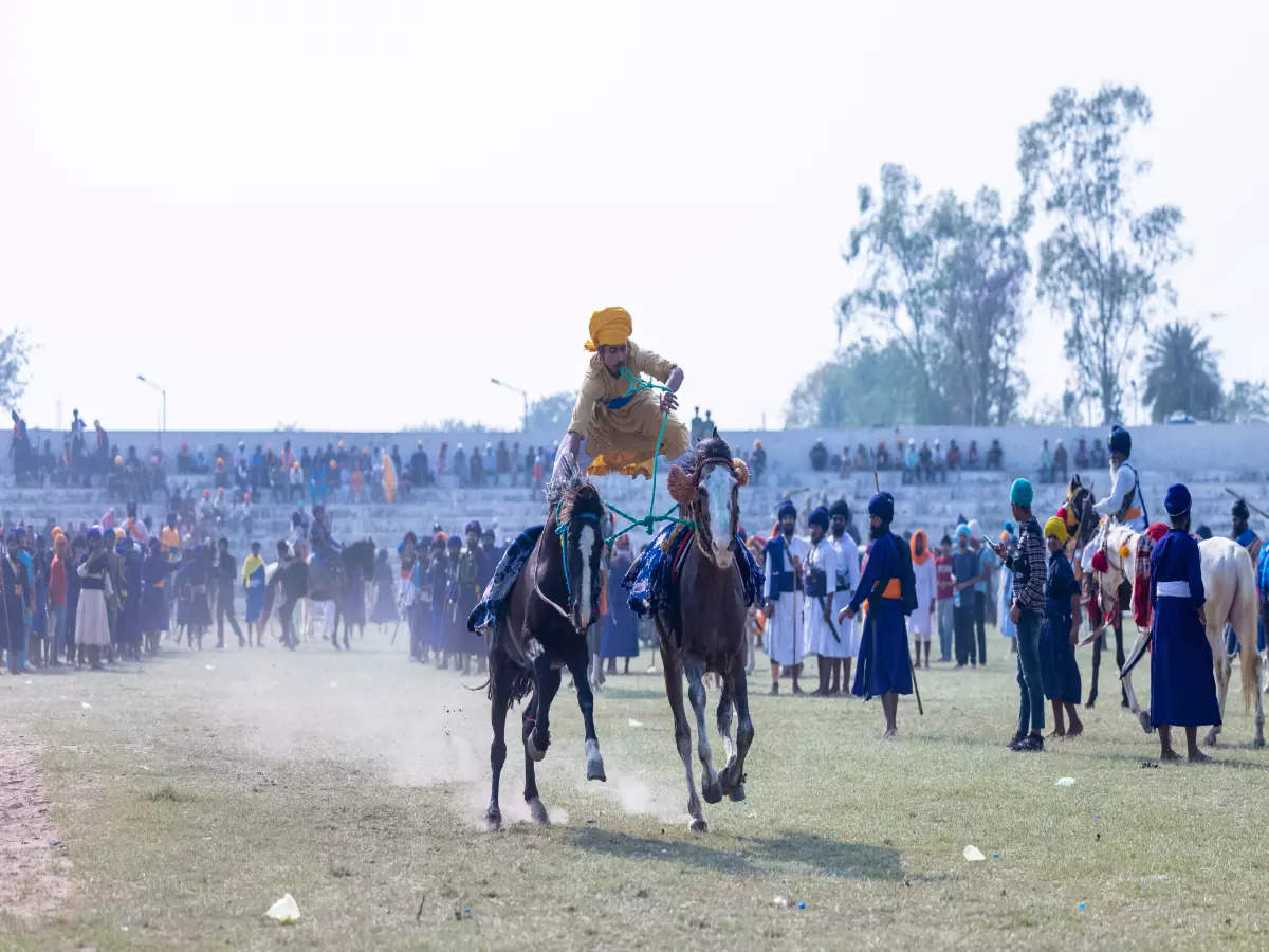 Best of Punjab’s culture and traditions at Hola Mohalla