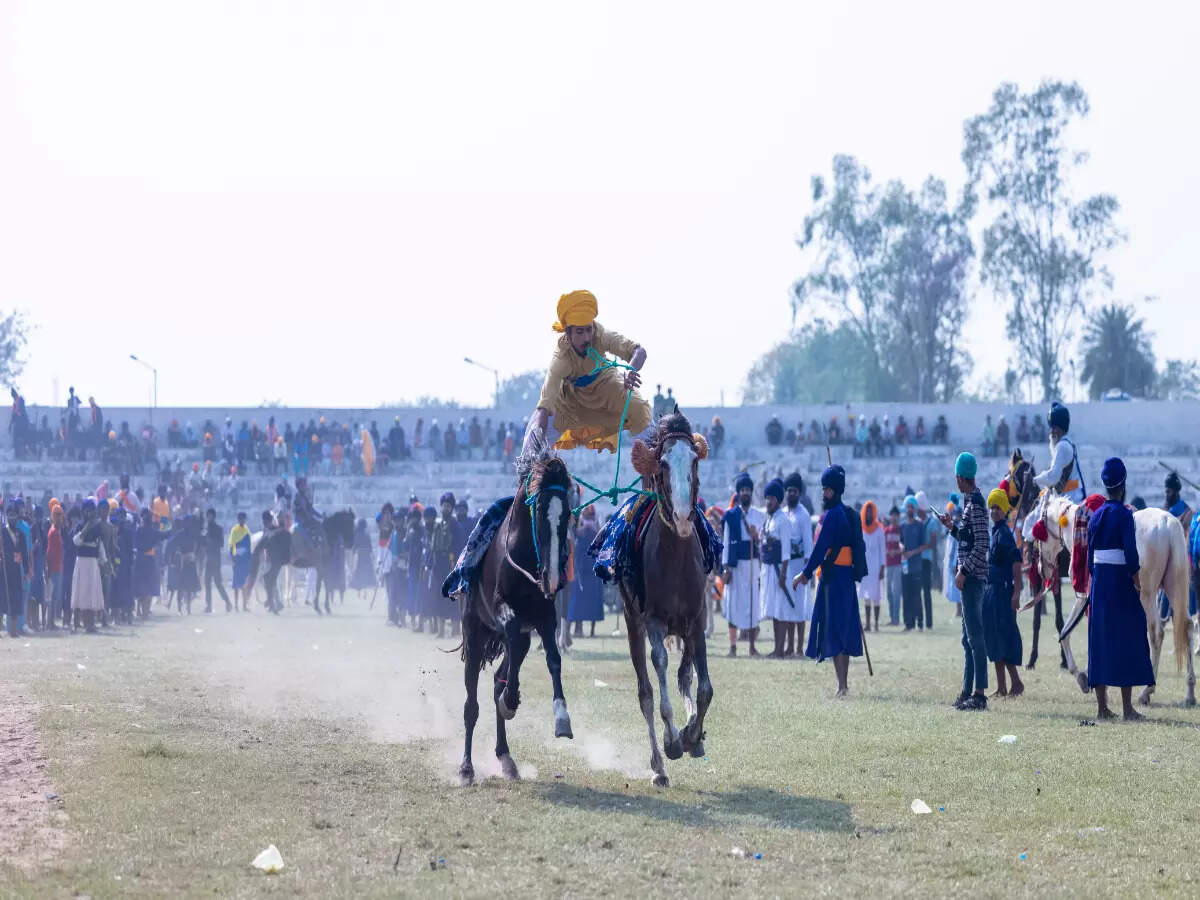 Best of Punjab’s culture and traditions at Hola Mohalla Best of Punjab’s culture and traditions at Hola Mohalla