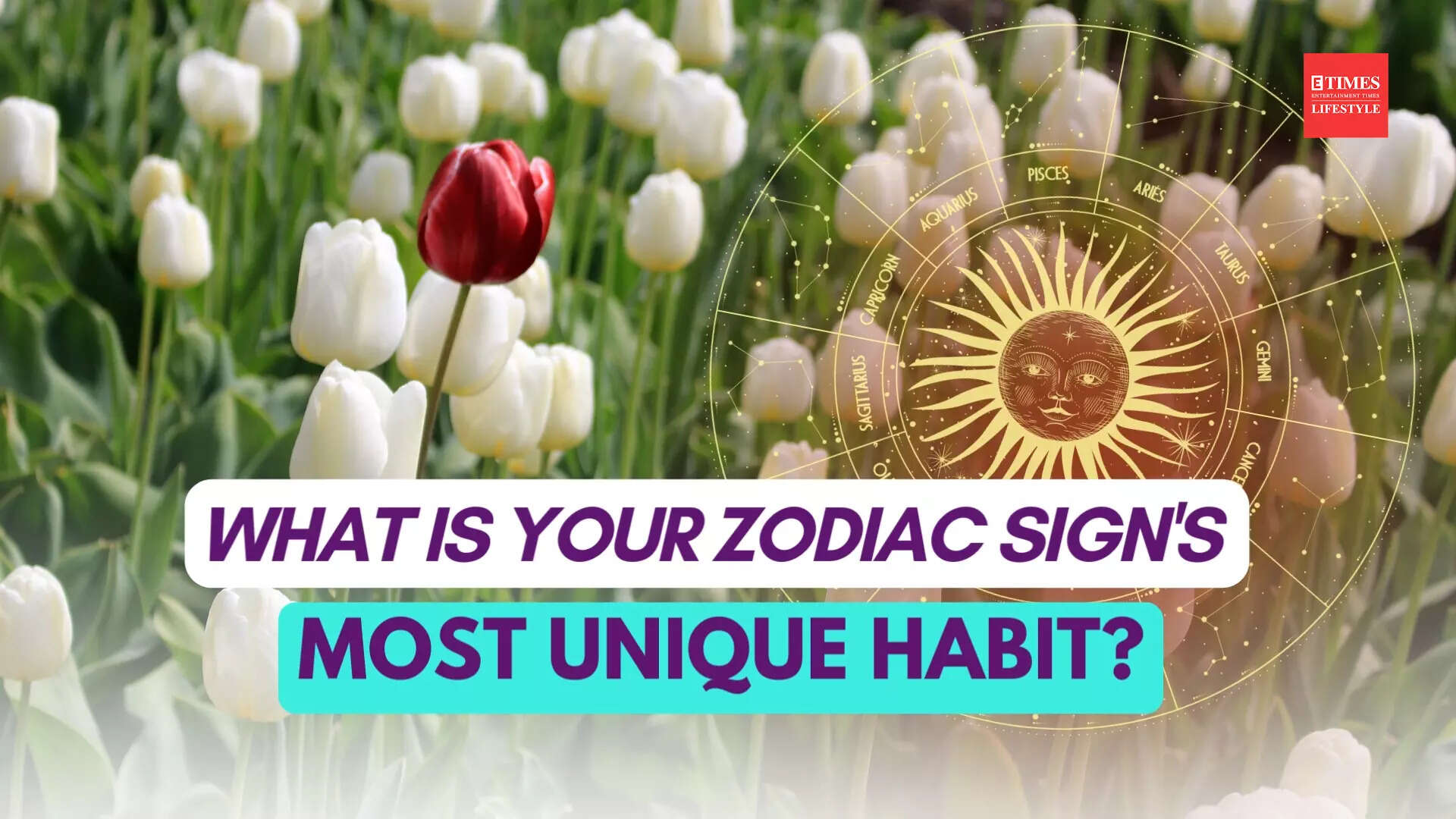 What is your zodiac sign's most unique habit?