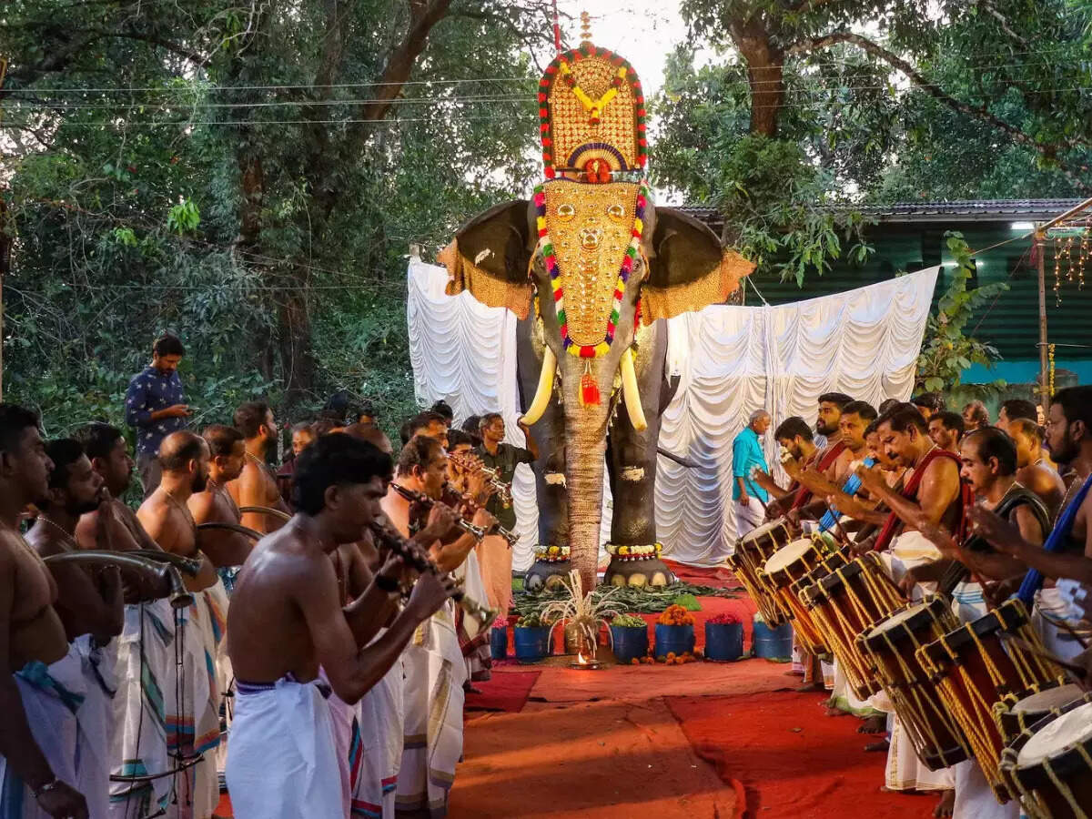 In a first, this Kerala temple replaces live elephants with ‘robotic elephants’ for rituals In a first, this Kerala temple replaces live elephants with ‘robotic elephants’ for rituals