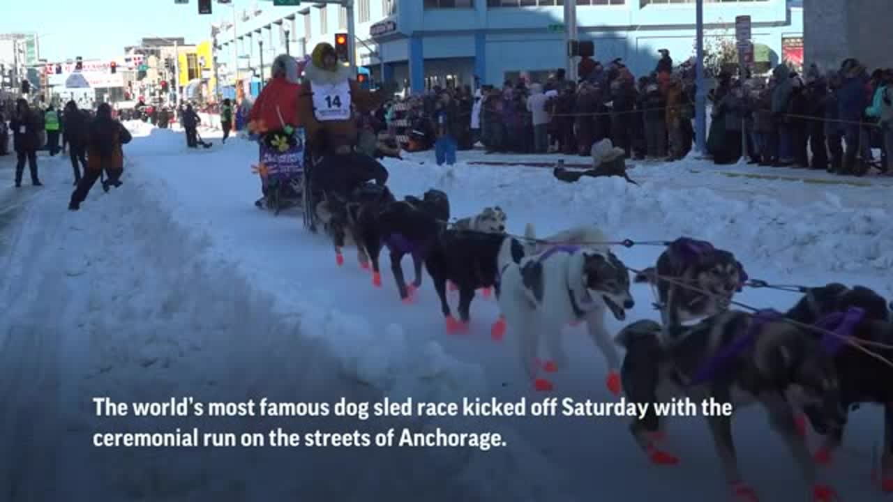 iditarod Alaska’s Iditarod kicks off with ceremonial start