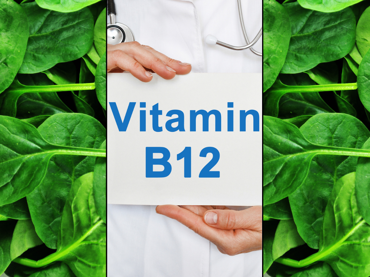 B12 Deficiency Vegetarian Foods Rich In Vitamin B12 The Times Of India