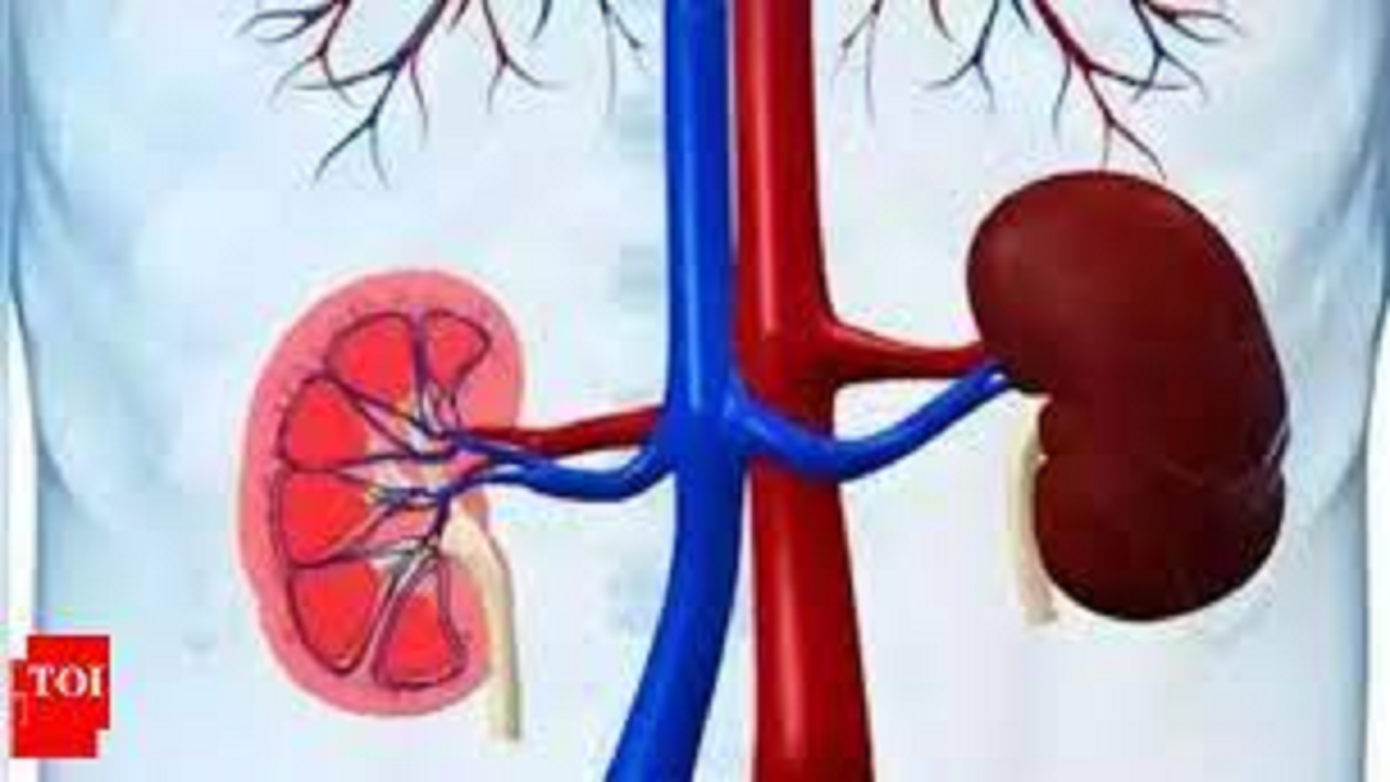 The AIIMS seminar discusses kidney disorders among children