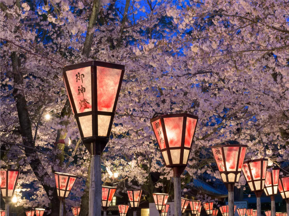 Japan’s cherry blossom season is officially here!