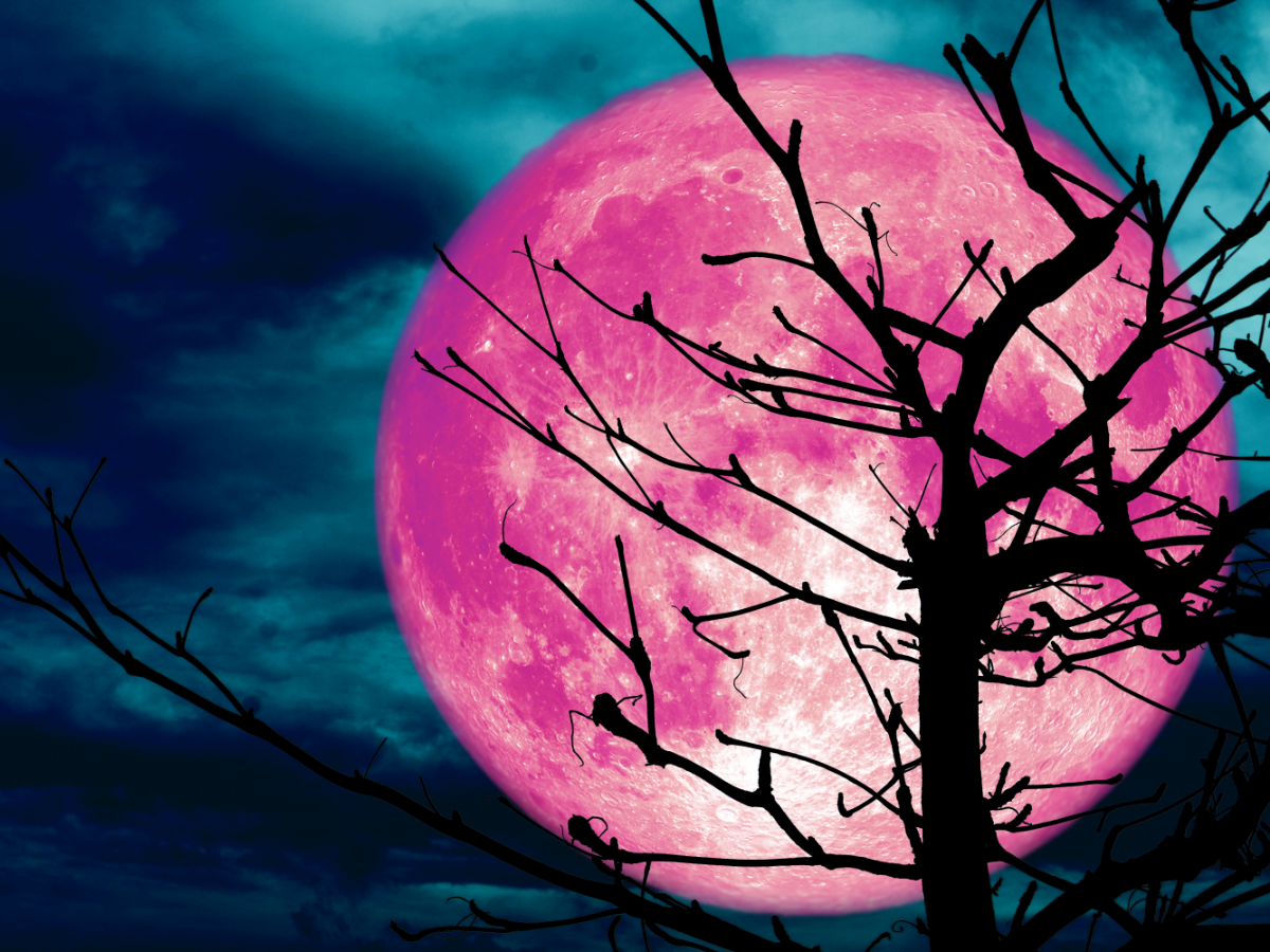 Full Pink Moon 2023 How will it affect your zodiac sign? The Times