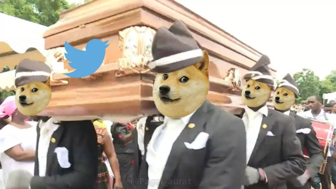 Netizens can't keep calm after Elon Musk changes Twitter logo to doge meme