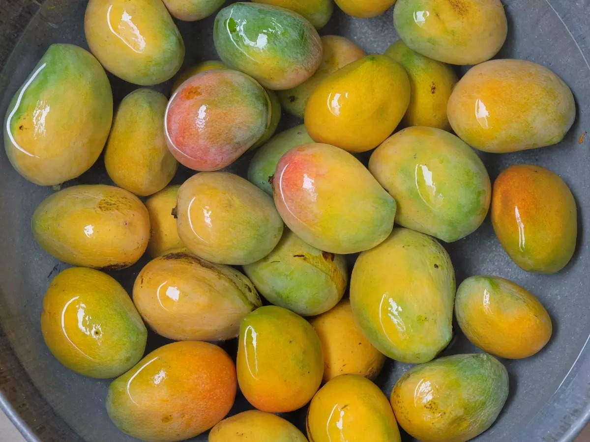 The REAL reason why mangoes are soaked before eating | The Times of India