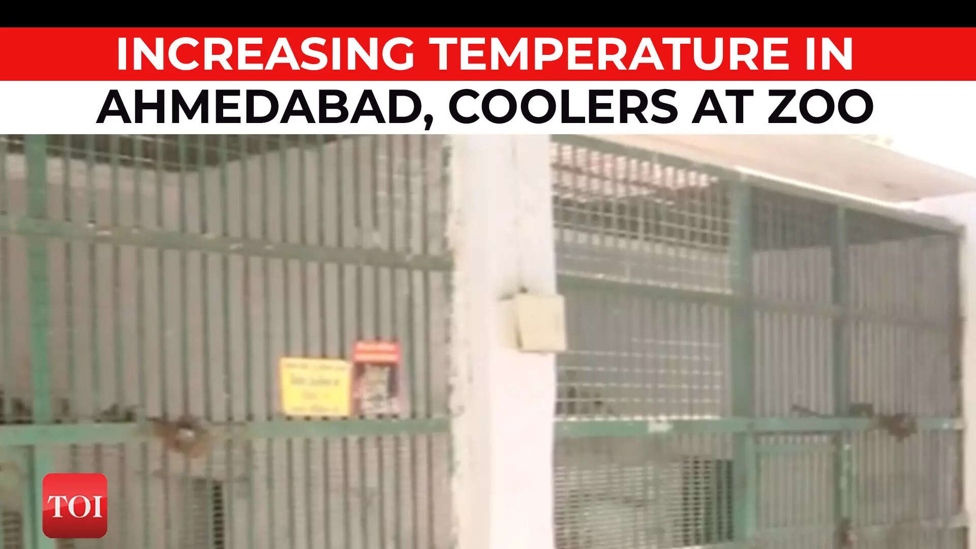 heatwave Gujarat Coolers, sprinklers installed at Ahmedabad’s zoo amid rising temperature