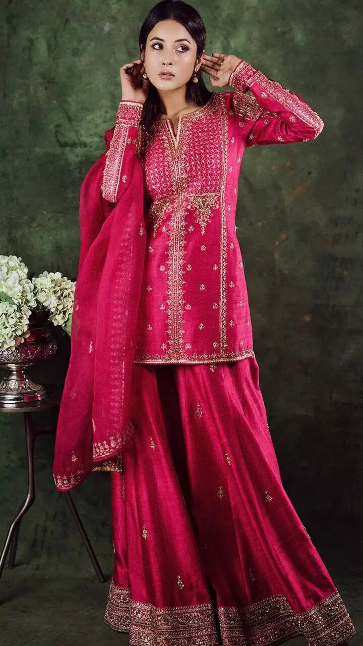 Shehnaaz Gill doles out ethnic fashion inspiration in pink sharara 