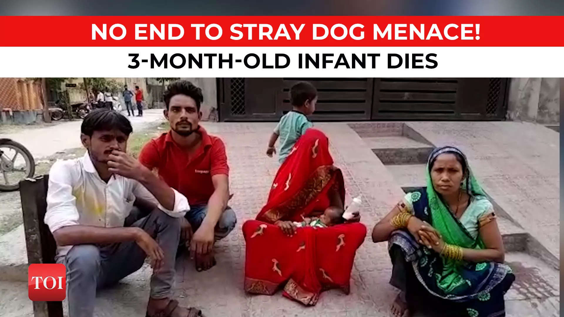 Three-month-old Mauled To Death By Stray Dogs In Aligarh As Family ...