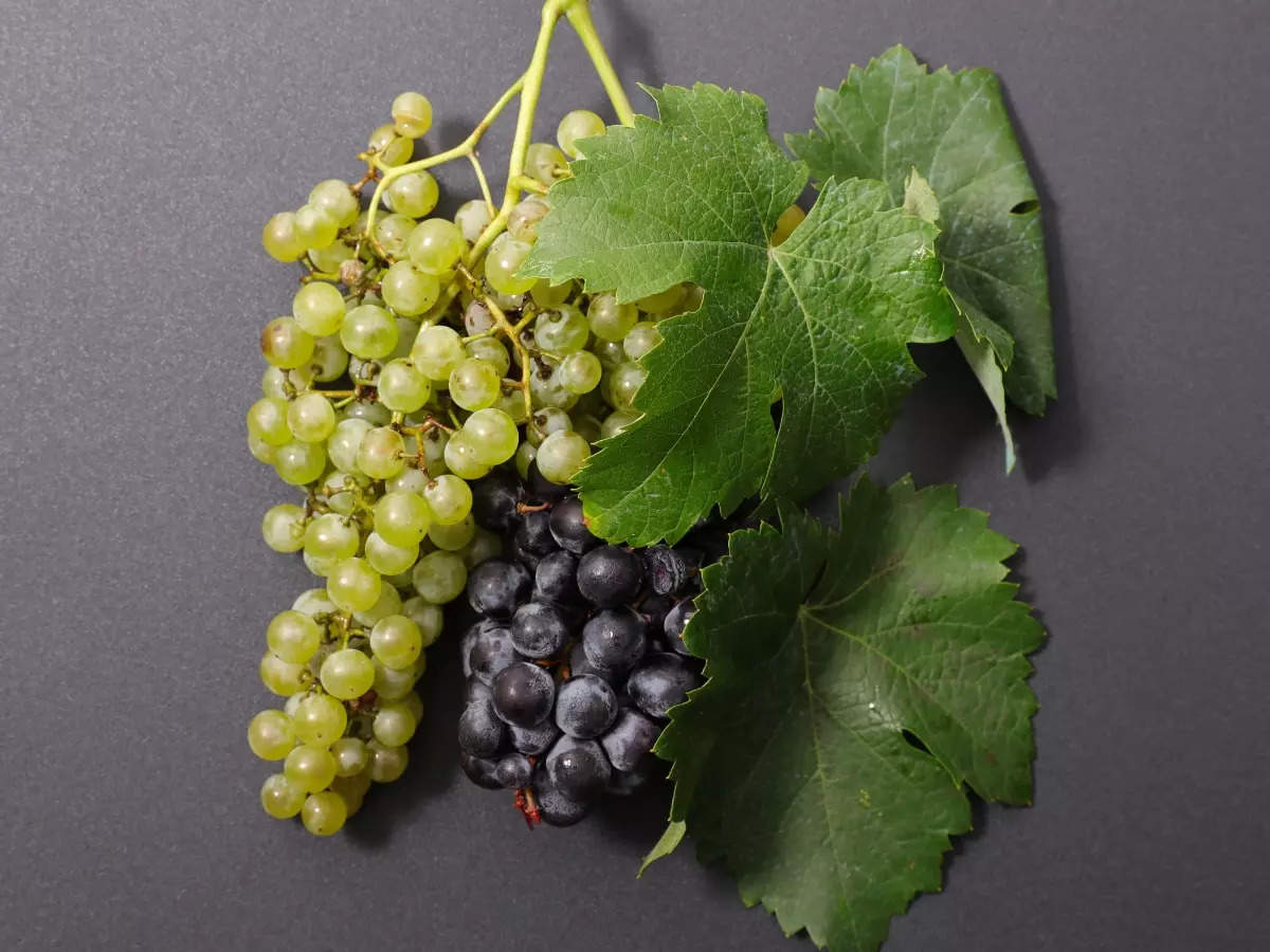 black and white grapes