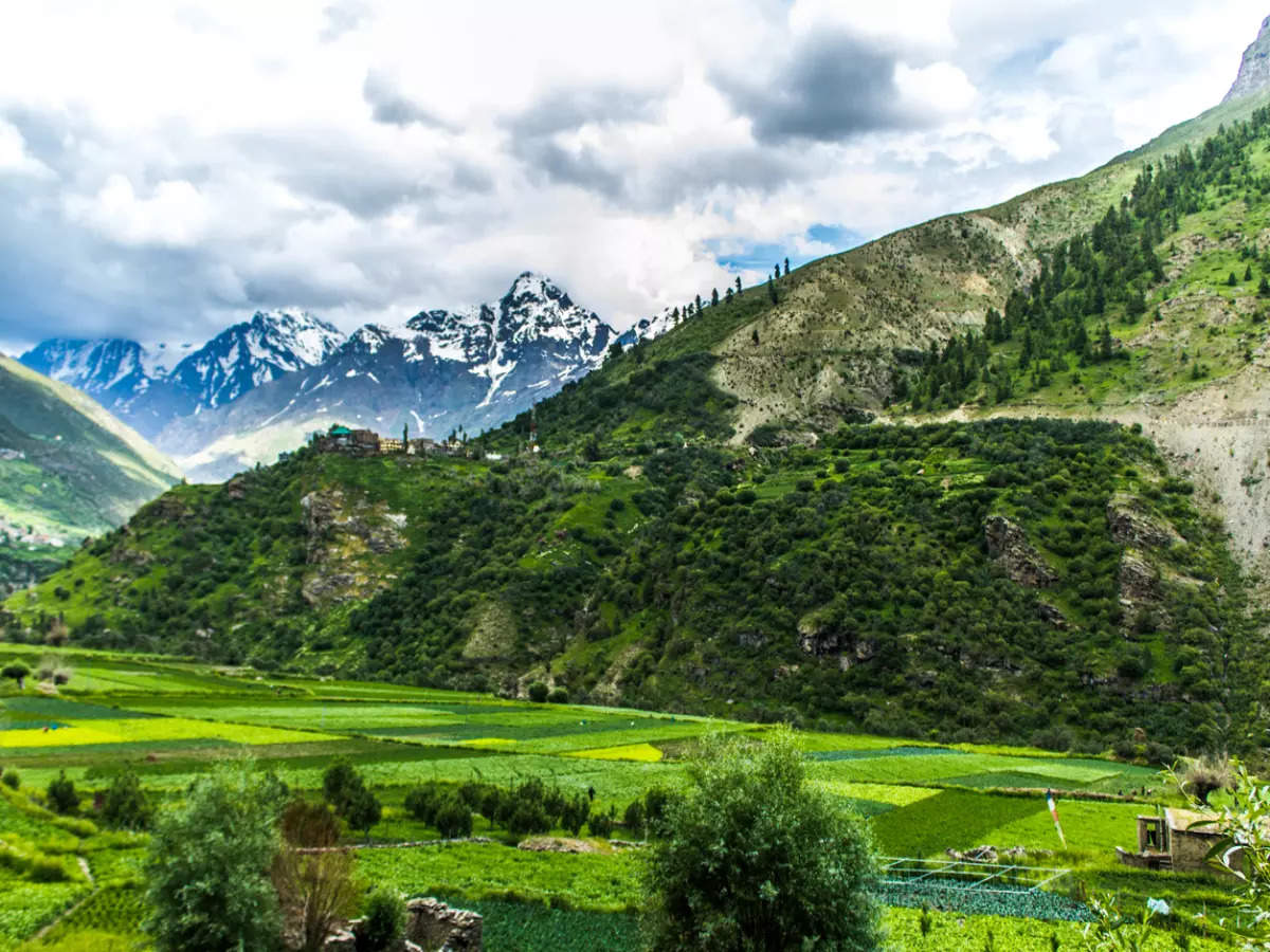 Lahaul & Spiti Valley: Wonders of Lahaul Valley, the greener side of the Lahaul-Spiti district, Lahaul-Spiti - Times of India Travel | Times of India Travel