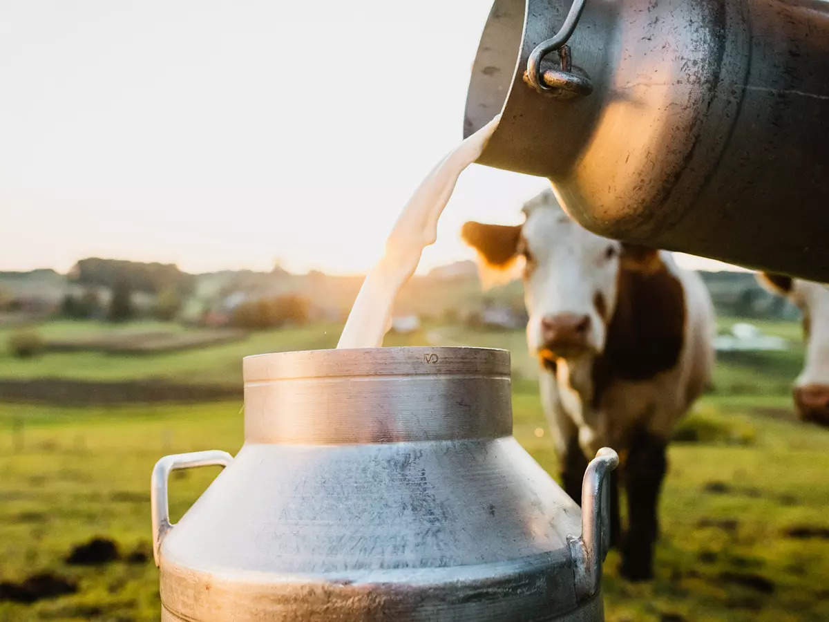 This is the REAL reason why milk is always white in colour | The Times ...