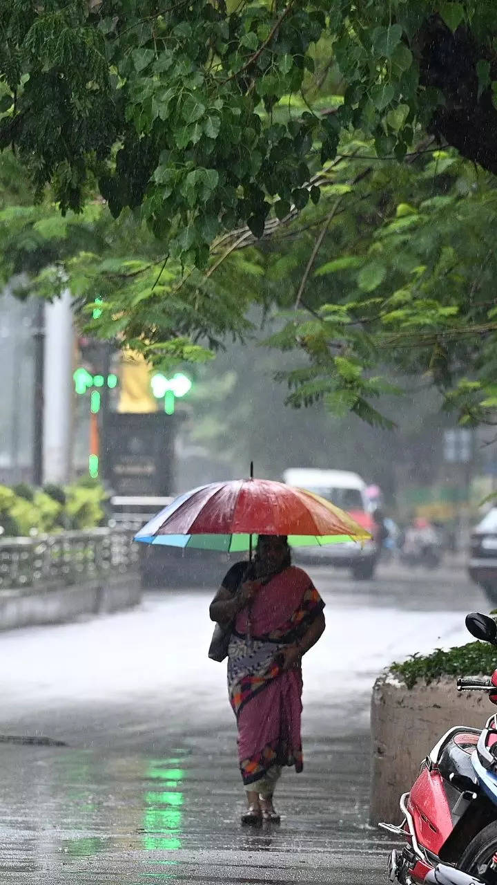 Rain Lashes Parts Of Delhi-NCR, Brings Temperature Down | Delhi News ...