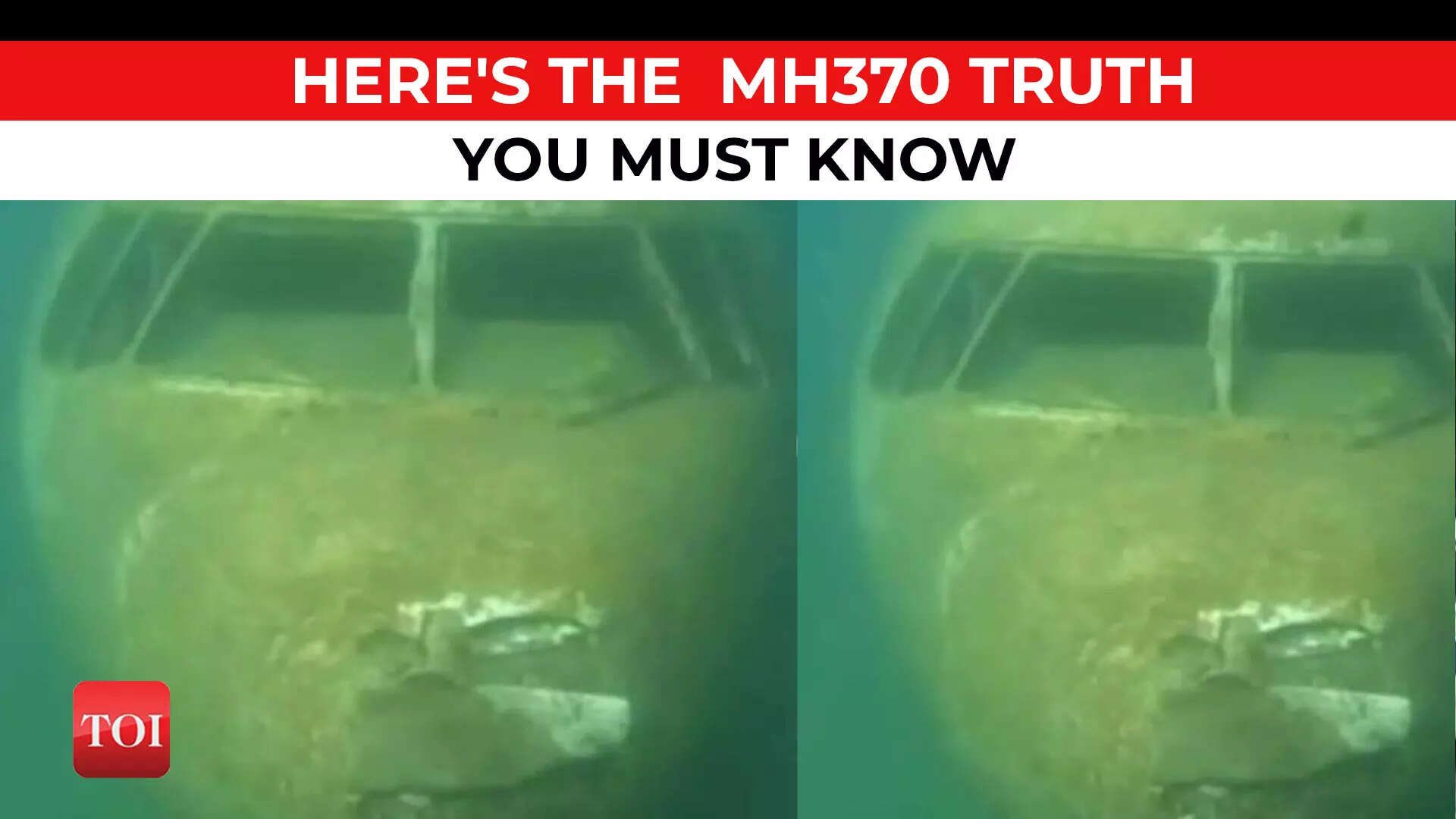 FACT CHECK: Shocking Photo Goes Viral- Malaysia Airlines Flight 370