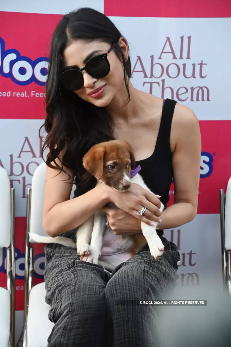 Mouni Roy teams up with a leading pet food brand for a food donation drive