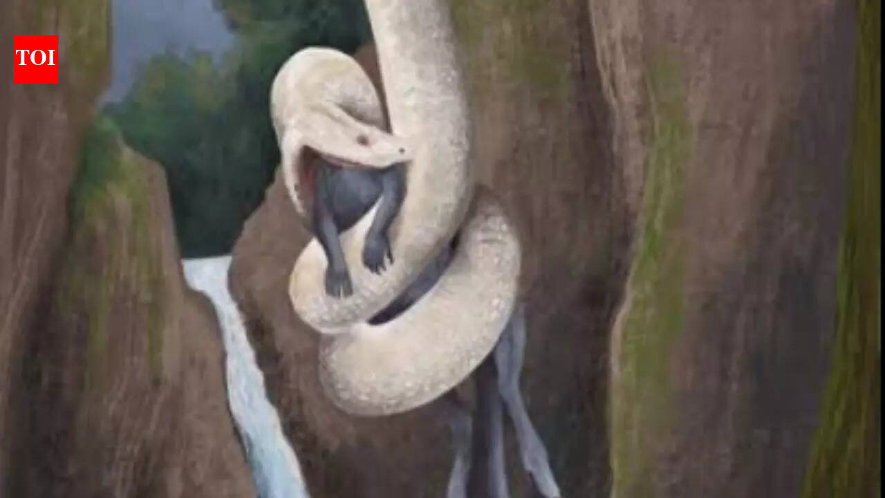 5 giant ancient snakes that once ruled the Earth​