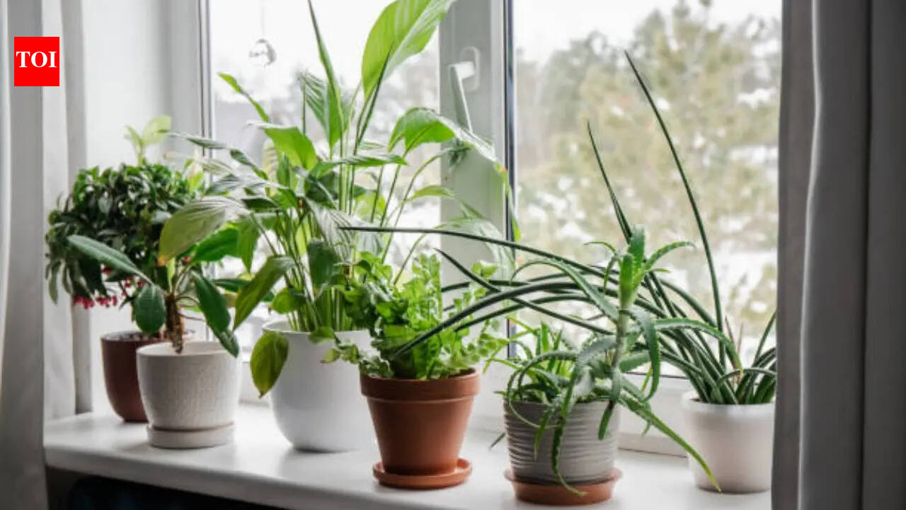 cloth plant pot Smart Pot® Natural Fabric Planters
