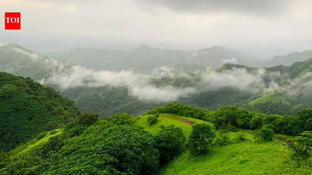 1997 Monsoon Saved by Indian Ocean Dipole Amidst Strong El Niño | Quick Digest