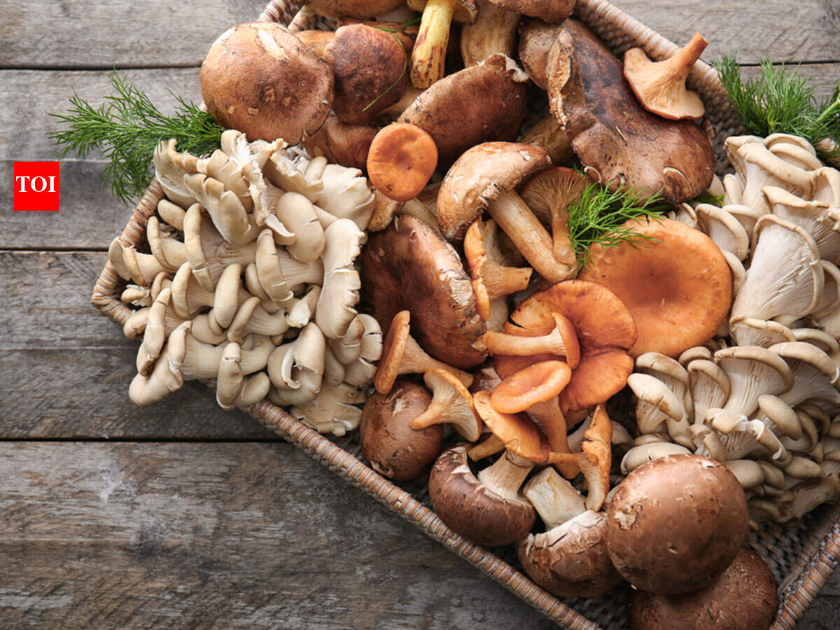 l carnitine role l carnitine and kidneys The Role of L-Carnitine in Kidney Disease and  Related Metabolic Dysfunctions