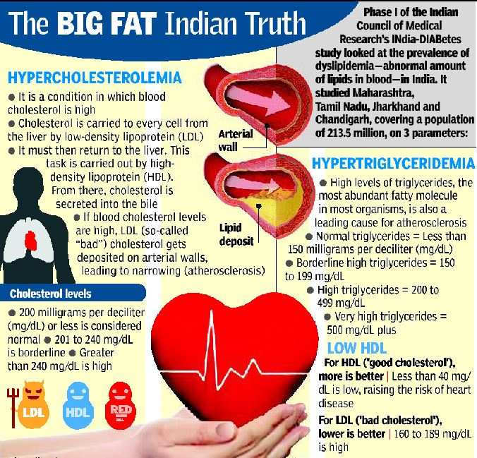 80 Indians Have Skewed Lipid Level 72 Low Good Cholesterol Mumbai News Times Of India