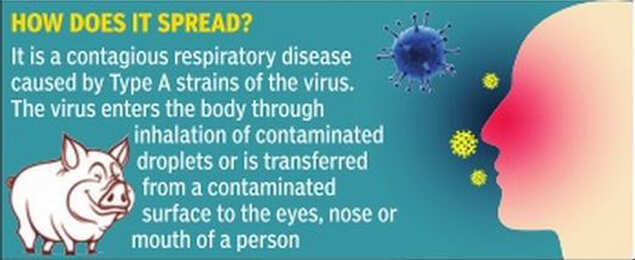 Swine flu causes picture