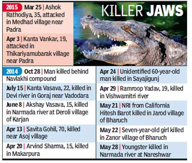 Gujarat woman fights off crocodile to save daughter ...