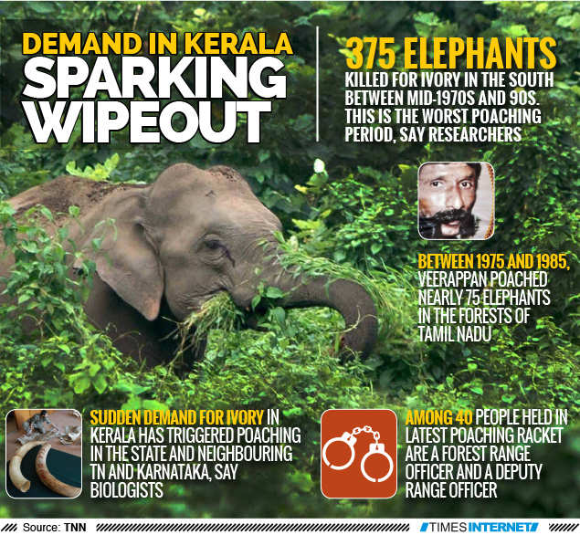 100 elephants killed in 2 years across south | India News - Times of India