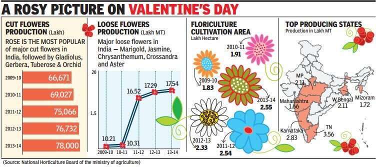 Flower Fascination India Set To Be Floriculture Trade Leader India News Times Of India